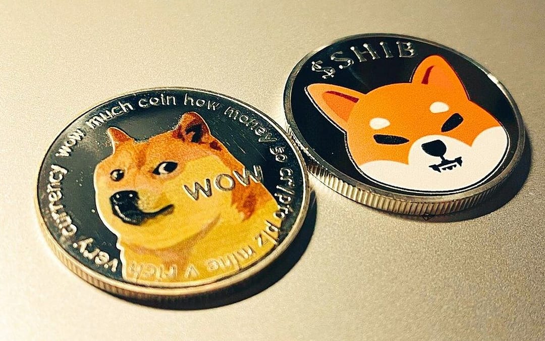 Dogecoin Vs Shiba Inu, Why Dogecoin Wins