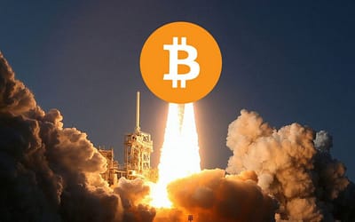 Why Bitcoin Is Here To Stay